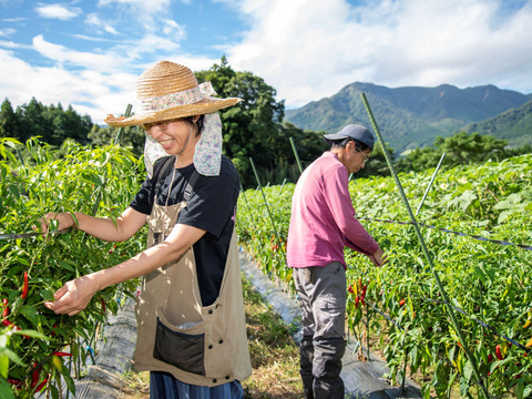 ちょい辛ペーニョ2本セット【エスニック×プレミアム】