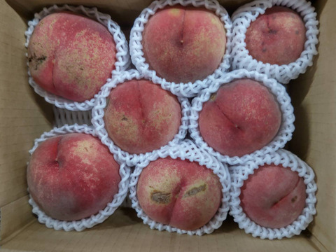 2箱分季節の白桃約2キロ5-10個入×2箱　訳あり家庭用  農薬半減栽培