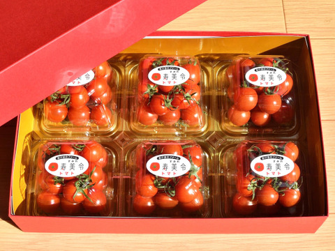 【贈答用】寿美令トマト（150gパック6個／化粧箱入り）フルーツトマト　ミニトマト　アイメック農法