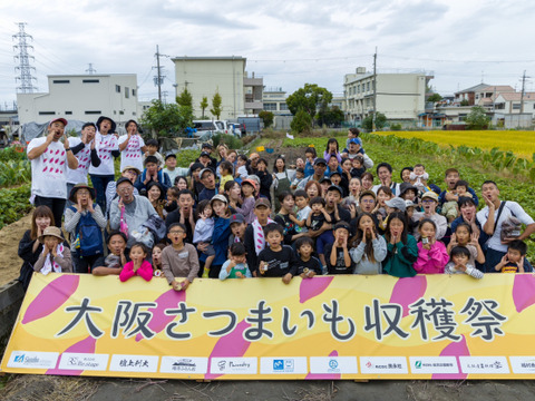 【夢シルクたっぷり満足４.５キロBOX】上品な甘みと、シルクのような滑らさ！大阪産さつまいも