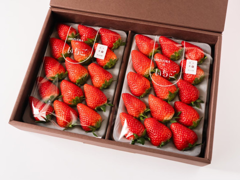 【ギフトボックス】◇超特大◇農皇いちご 静岡限定品種　きらぴ香　900g以上