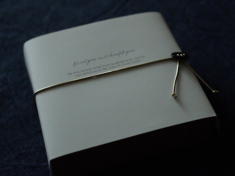 【熟練ショコラティエ特製】庄内梨ショコラ GIFT BOX  【個数限定】【冬ギフト】