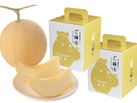 【お中元】【島根県発！幻のメロン】「ゴールデンパール」2玉入（1玉約１.３㎏×２）