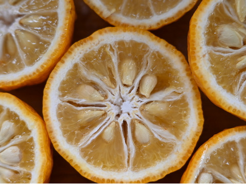 【新発売】自然栽培の完熟柚子胡椒