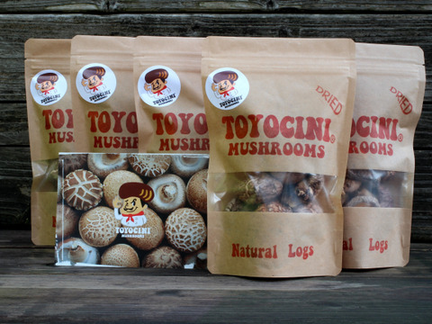 ☆トヨチーニ☆小サイズ(40g入り)×2袋・乾しいたけ・乾椎茸・干し椎茸・しいたけ