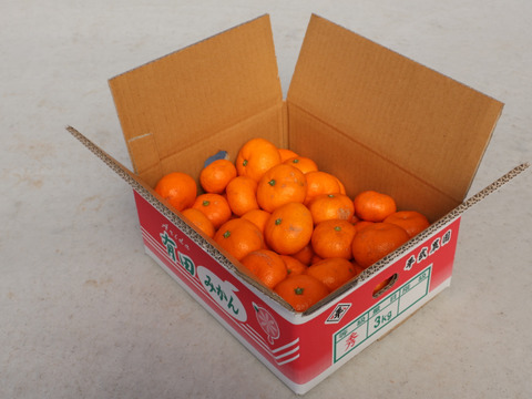 【冬ギフト】農家直送！有田みかん3kg≪無選別（秀品・訳あり品・サイズ混合）≫【平武農園】～蛍飛ぶ町から旬の便り～　和歌山｜有田｜田口｜ギフト｜こだわり　産地直送　お取り寄せ