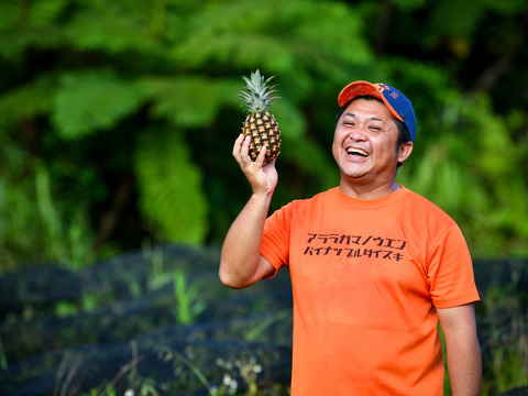 パイナップルの極み！西表島産『完熟ハワイ種(島パイン)』2㎏（2～3玉）