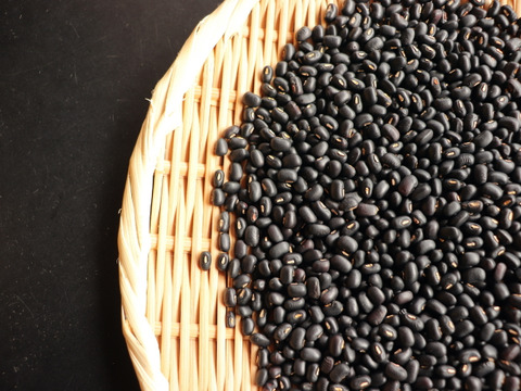 ◎自然栽培◎秘伝豆・黒ささげ 各1kg《令和6年・山形県鶴岡産》