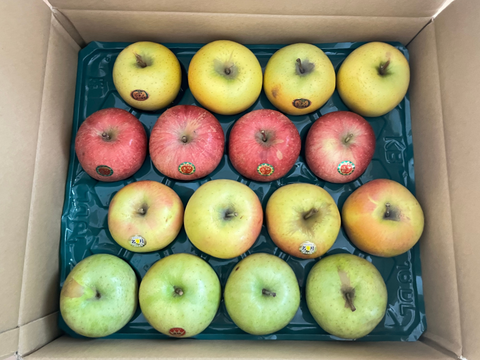 【12月発送】おまかせ旬りんご詰め合わせ（家庭用5kg・14~20玉）【みんなで食べ比べ🍎】