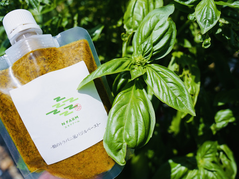 【無添加】Nfarm 畑の冷凍シリーズ　（トラパニ・玉ねぎ麹・メロン果汁）　セット