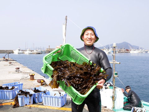 【敬老の日ギフト】わくわく詰め合わせ お得セット