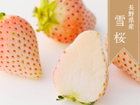 濃厚な甘さ！長野県産『真紅の美鈴』&『雪桜』各280g