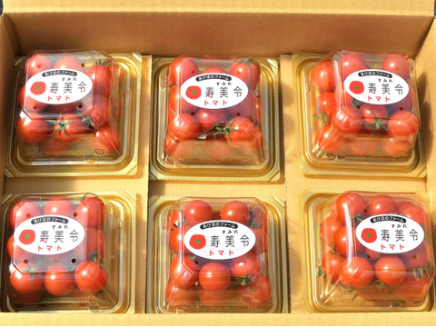 寿美令トマト🍅フルティカ（250gパック6個／段ボール発送）フルーツトマト　ミニトマト　アイメック農法