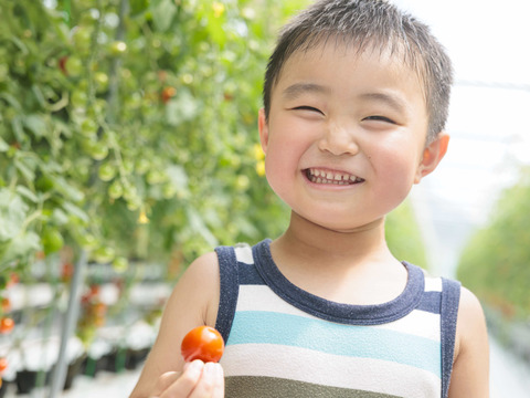 ママ姉妹が作るツヤツヤ〝美粒トマト〟１キロ