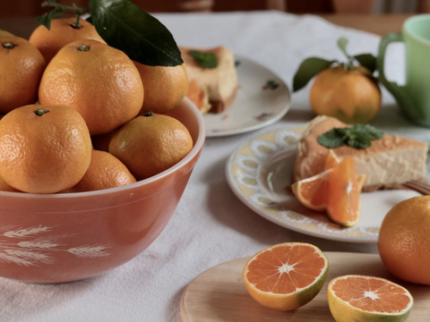 熊本県産極早生みかん　３キロ（訳あり品）