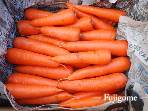 【化学農薬・化学肥料不使用】赤城の寒締めニンジン 4.0kg・20～30本