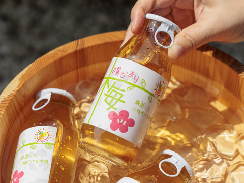 【自然栽培】梅ドリンク 30％うめ果汁入り飲料（180ml×8本セット）