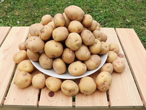 Mサイズ【キタアカリ】3kg/箱　(M=70～120g/粒）