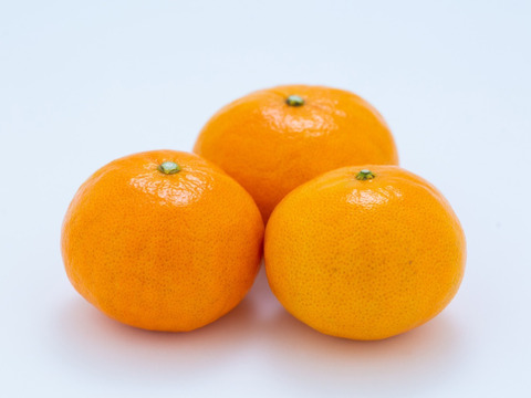 真穴（まあな）産地直送！完熟甘平（かんぺい）3kg 家庭用　【冬ギフト】