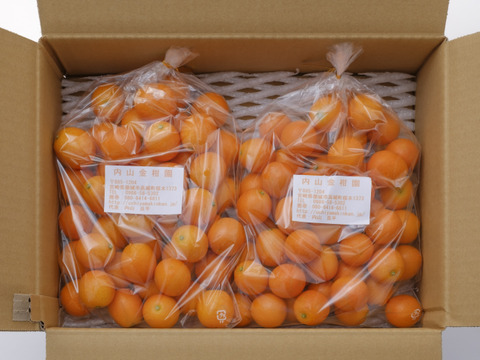 生で丸かじり！糖度16％以上　宮崎・内山金柑園の完熟きんかん（Ｌ・２キロ）