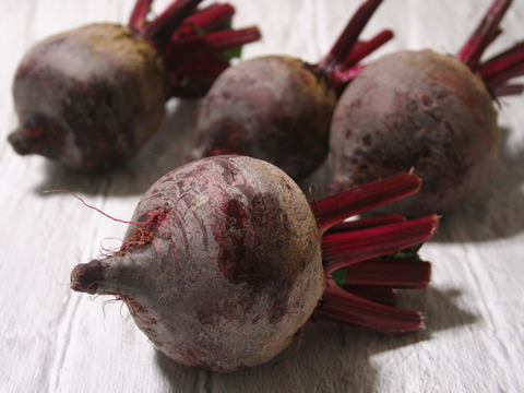 【ジュース用野菜セット】カラダに嬉しい！（人参・ビーツ・カーリーケール・赤軸ホウレンソウ）　農薬・化学肥料不使用栽培