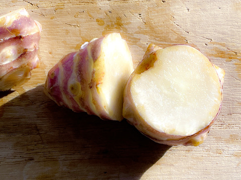 【産直直送！】宮城県産 菊芋10kg  紅菊芋 自然栽培 イヌリン 栽培中農薬不使用 赤菊芋 生きくいも 生食