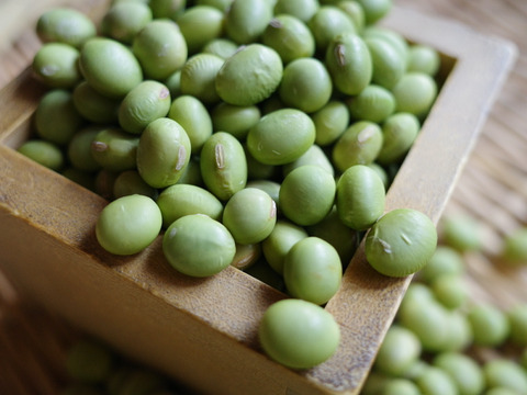 ◎自然栽培◎秘伝大豆1kg《令和7年・山形県鶴岡産》