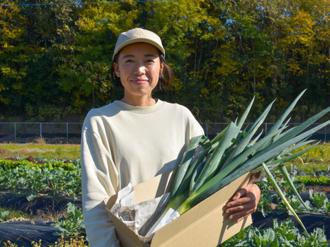 【自然栽培｜採れたて】甘くてやわらか石倉ネギ  2kg