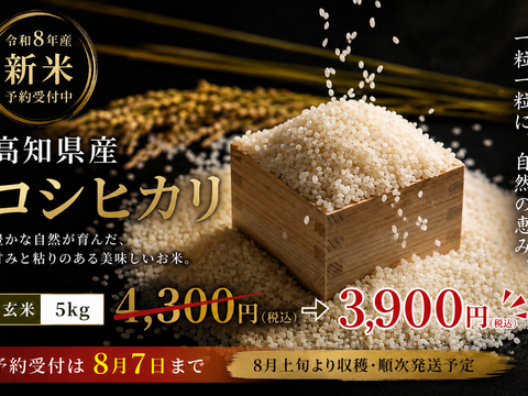 50名様限定特価！！【8/7まで予約受付】令和8年産 高知県産コシヒカリ