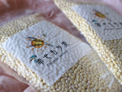 令和6年産　もちっプチっ食感が癖になる！岡山西大寺幸せもち麦400ｇ（200ｇ×２）