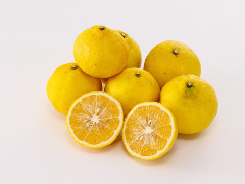 はるか家庭用4kg