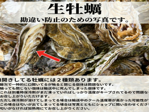 【期間限定10％値引き販売中】🦪 生食用８ｋｇ（56~130粒） 殻付き 牡蠣 牡蛎 殻付き牡蛎 kaki カキ 松島牡蠣屋 BBQに最適🔥 海産物 オイスター 生牡蠣