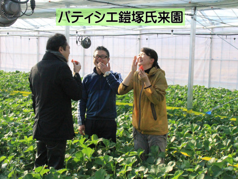 【群馬県産】高級いちご♪とちおとめ化粧箱
