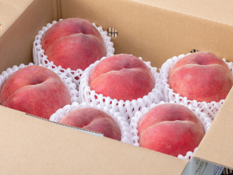 【桃：ゆうぞら】晩成腫の代表！最高の甘味と食味！1.5kg程度（8～4個入り）