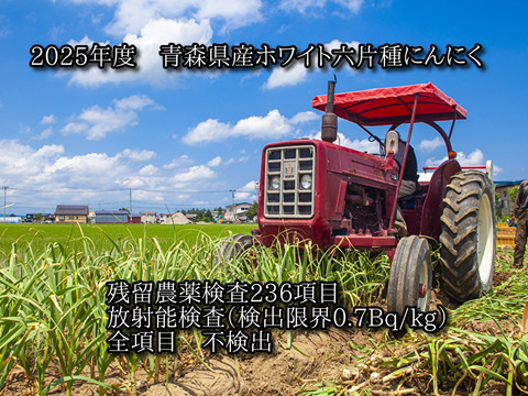 【青森県産】ホワイト六片種にんにく 2kg（1kg×2ネット) バラ・カケ込 家庭用