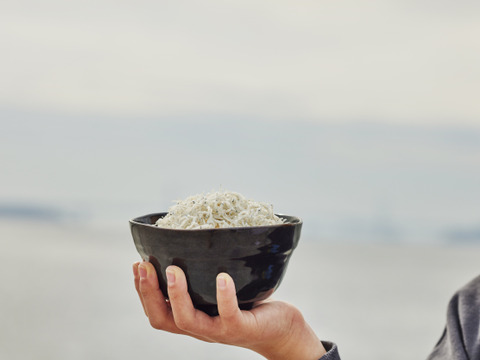 化学調味料不使用！淡路島産上乾ちりめん！80g