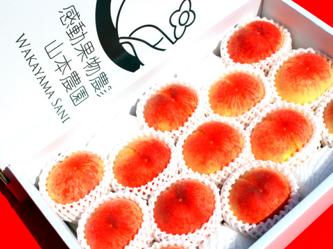 6月下旬～7月7日発送【糖度13度以上保証桃】【家庭用】当園１番人気の感動完熟桃 約3.5kg13-15玉