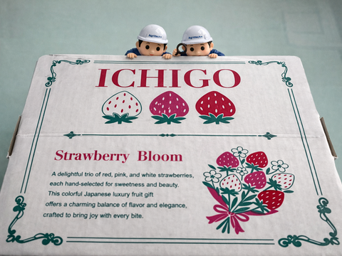 【食べ比べ】2色(赤・白)フラワー＆スクエア　160g×4箱セット