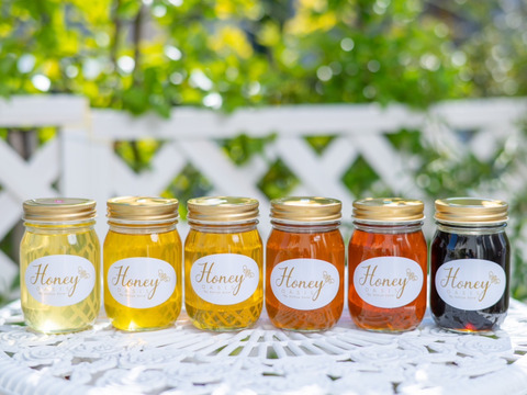 【非加熱•無添加】こだわりの国産生はちみつ　あかしあ　500g