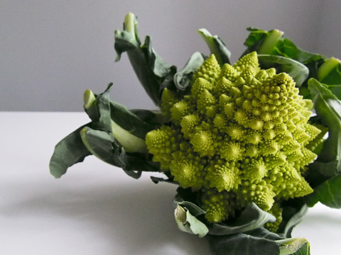 【京都産】　ロマネスコ　1kg（300〜500g/個、2〜4個）