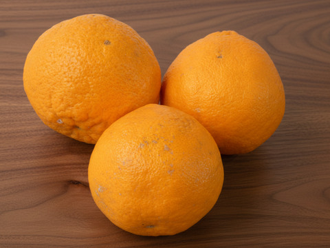 濃い味 不知火（しらぬい）　５ｋｇ　Ｍ玉中心