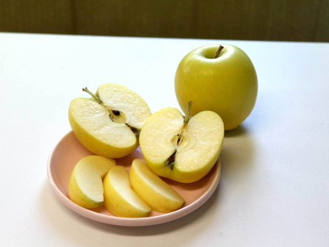 【1月上旬出荷】真冬の引き締まった食感！シナノゴールド🍏青森りんご4.5kg（13〜23玉）