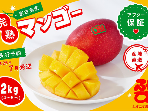 【2026夏ギフト】ぷすぷすマンゴー2キロ（4～5玉）