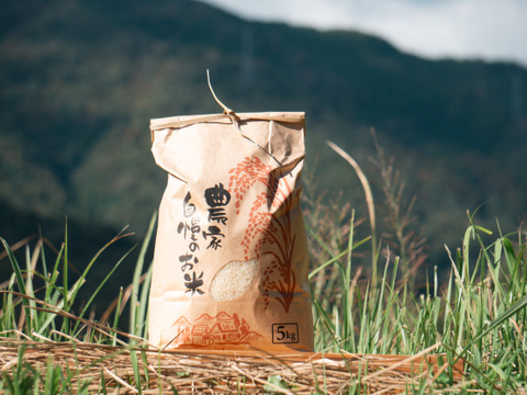 R8年新米】京都産 コシヒカリ（精白米）｜10kg｜農薬・化学肥料・除草