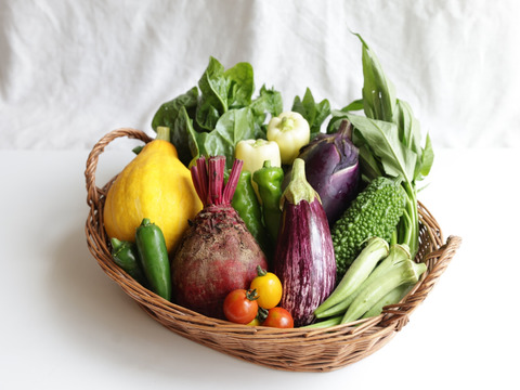 農薬・化学肥料不使用」のお試し野菜セット/7-8種類/【夏ギフト】/簡単