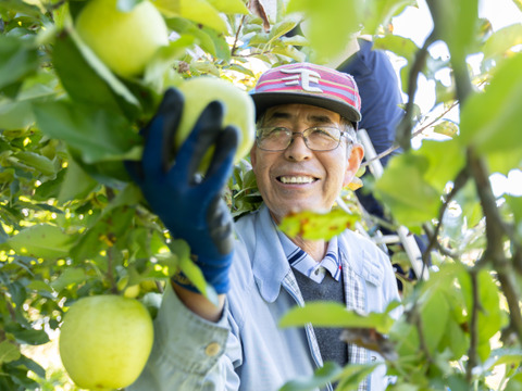 【りんご：王林】癒やしの香り豊かな時間 青りんご8～5個程度（2kg程度）
