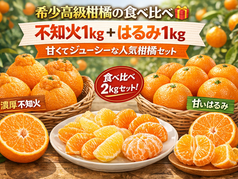 ラスト5箱【希少高級柑橘の食べ比べ🎁】不知火1kg＋はるみ1kg🍊甘くてジューシーな人気柑橘セット