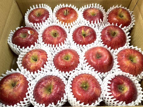 【岩手・紫波長岡果樹園】🍎いわて産特別栽培「サンふじ」5kg（家庭用16玉）