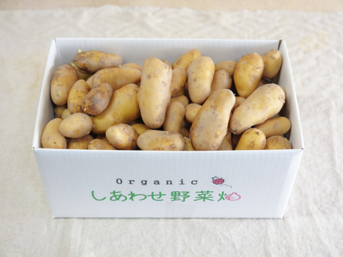 【訳あり】有機ジャガイモ　フードロス対応　10kg