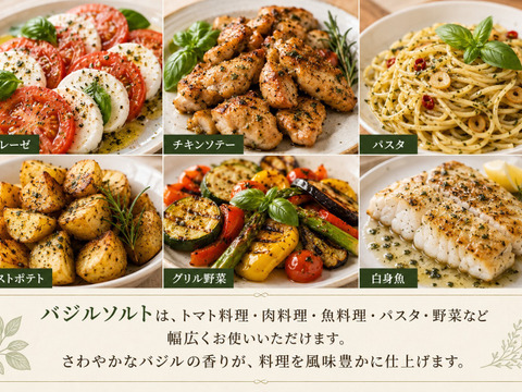 有機栽培で育てたバジル使用 バジルハーブソルト 20g 1本